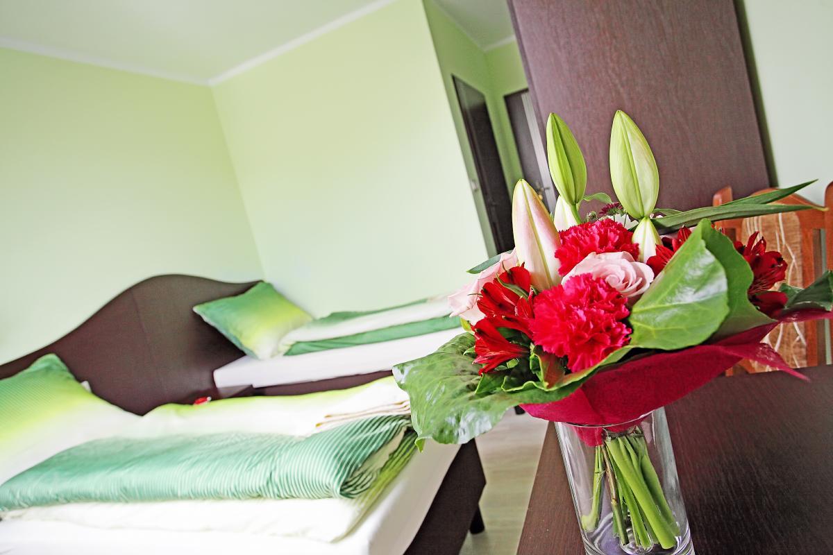 Hotel Albatros Wąsosz エクステリア 写真